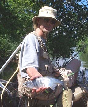 Flyfishing for Mooneyes on the Red Cedar River in Wisconsin