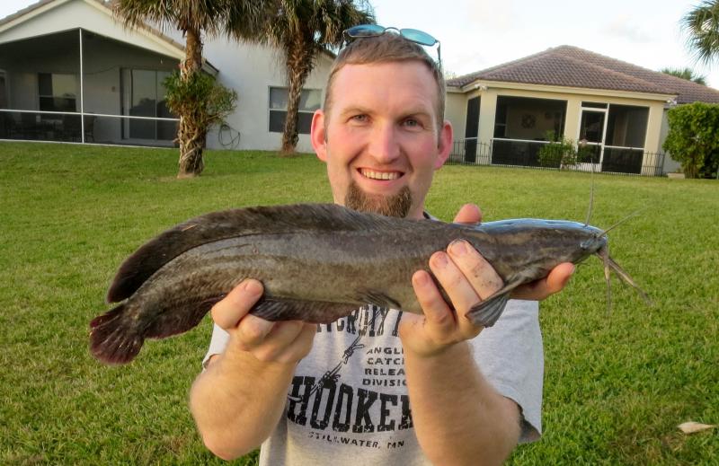 Florida Walking Catfish